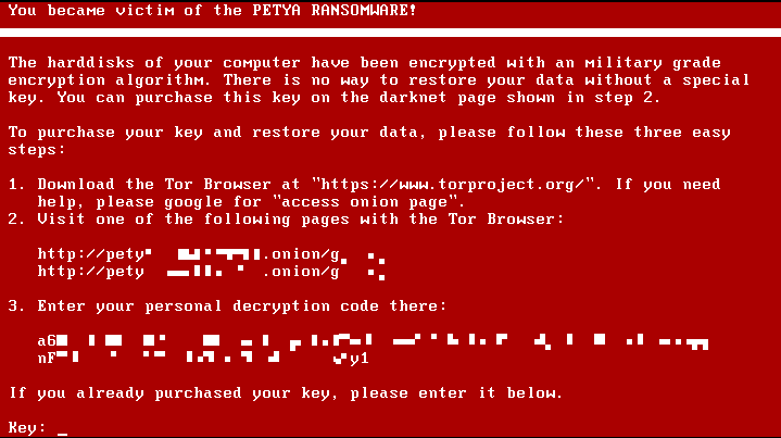 petya_ransomware_screen_2