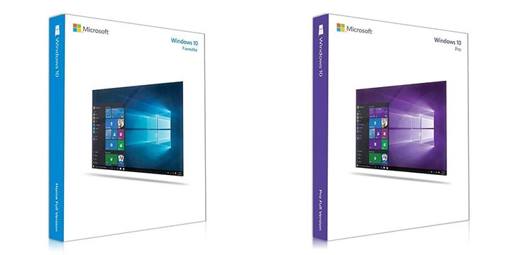 Boîtes Windows 10 Famille et Windows 10 Professionnel