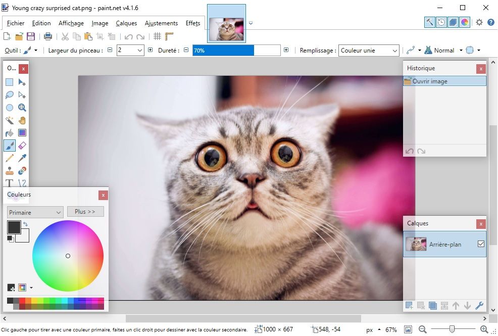 Edit a photo with Paint.NET