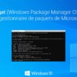 winget : installer et utiliser le gestionnaire de paquets de Microsoft