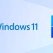 Windows 11