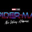 Spider-Man : No Way Home