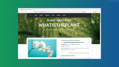 Identifier une espèce de plante, de fleur ou d’arbre à partir d’une photo