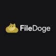 File Doge logo