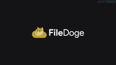 File Doge logo