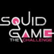 Squid Game The Challenge