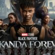 Black Panther Wakanda Forever