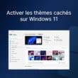 Activer les thèmes cachés sur Windows 11