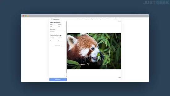 Recadrer des images en ligne gratuitement