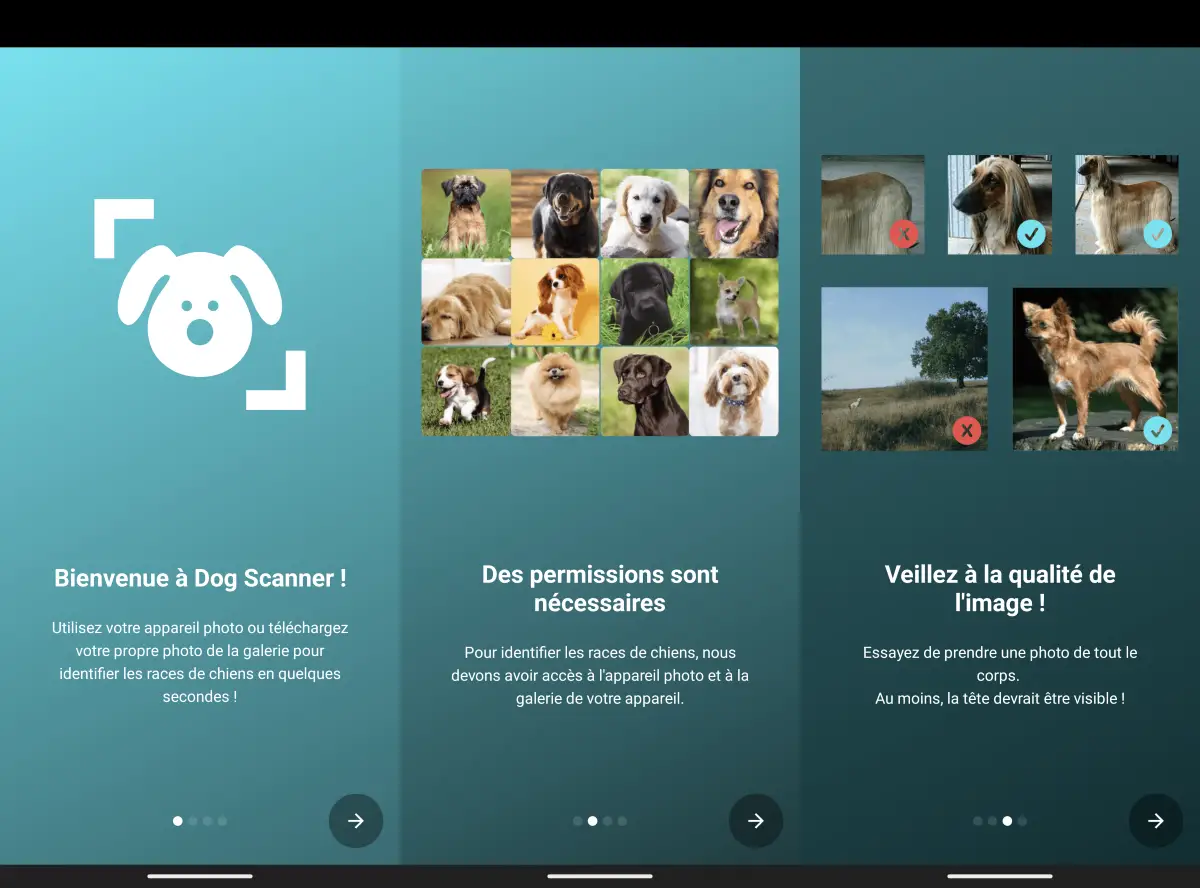 Dog Scanner, une application pour identifier les races de chiens à partir d'une photo