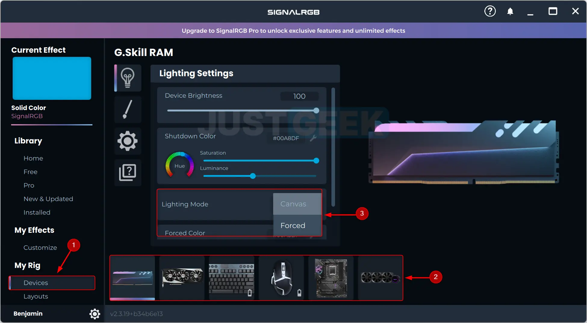 Sélection de 'Canvas' ou 'Forced' pour la synchronisation ou la gestion indépendante des couleurs et effets RGB dans SignalRGB