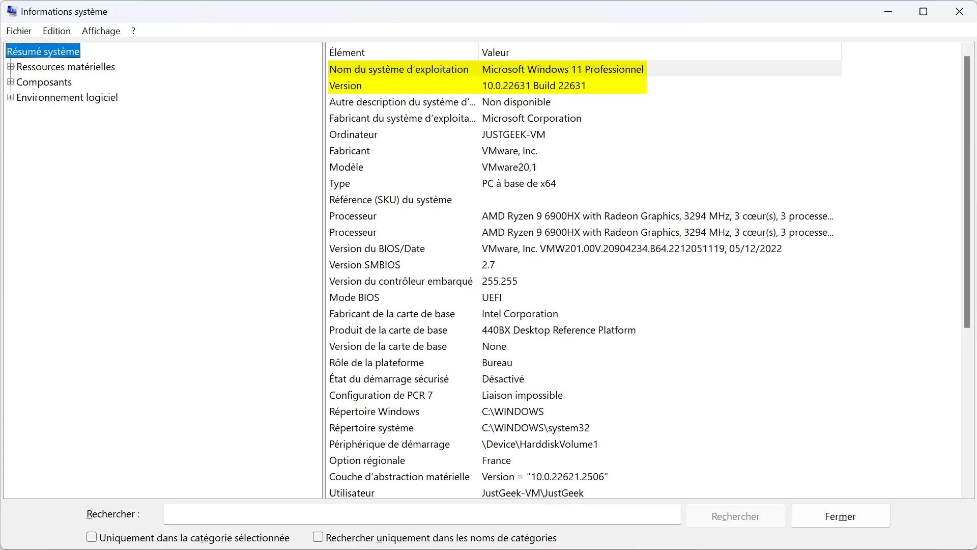 Vue détaillée de l'outil Informations système avec des informations techniques supplémentaires sur Windows.