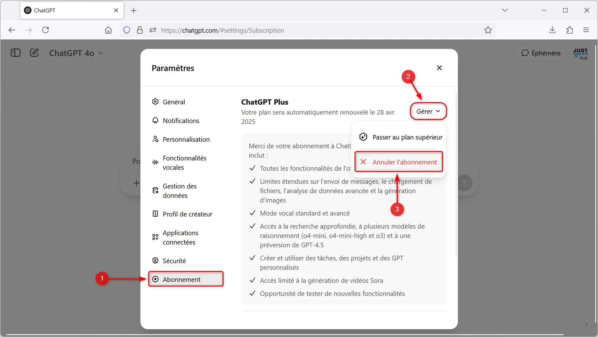 Bouton 'Annuler mon abonnement' mis en évidence dans la section 'Abonnement' de l'interface utilisateur.