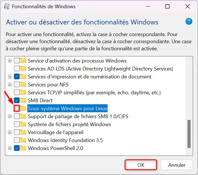 Désactiver une fonctionnalité facultative sur Windows 11
