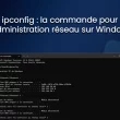 ipconfig