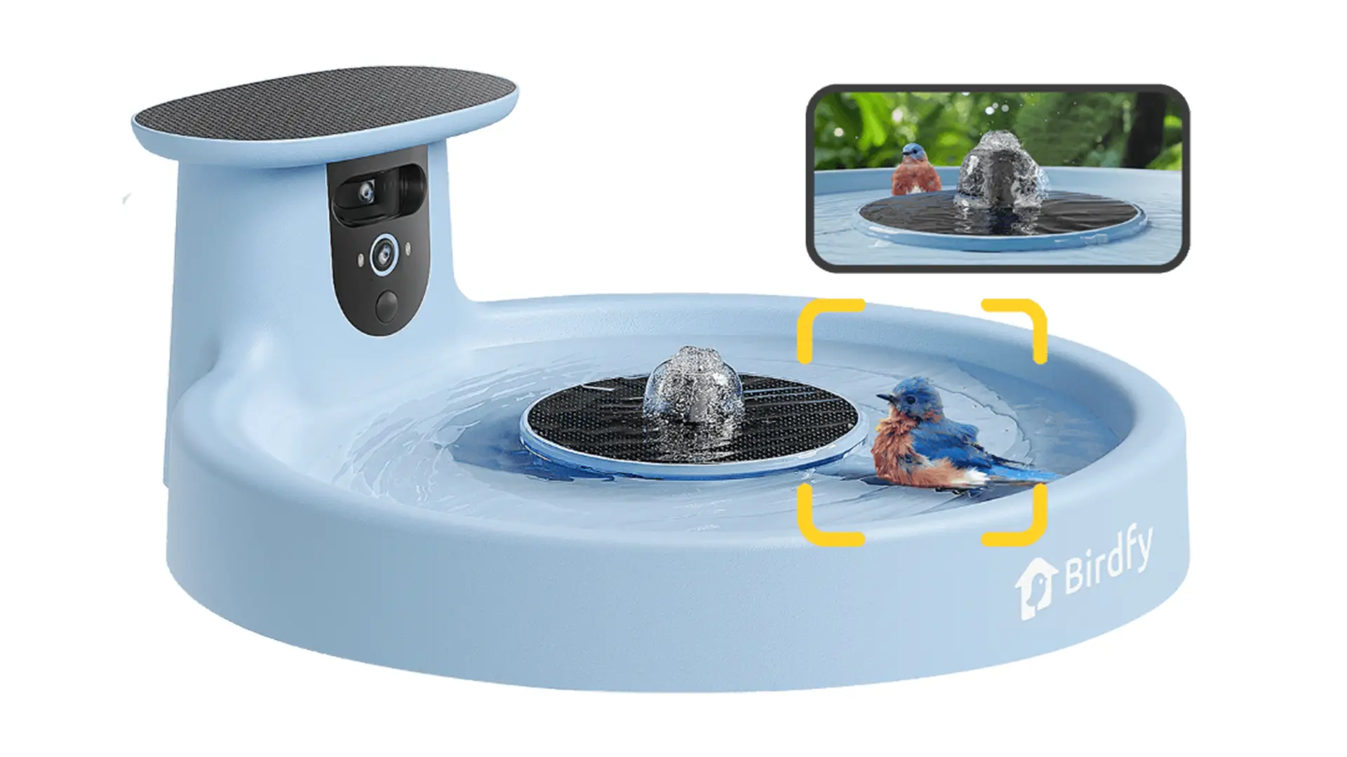 Birdfy Bath Pro : le bain pour oiseaux connecté