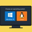 Écran affichant un menu de démarrage dual-boot avec Windows 11 et Linux