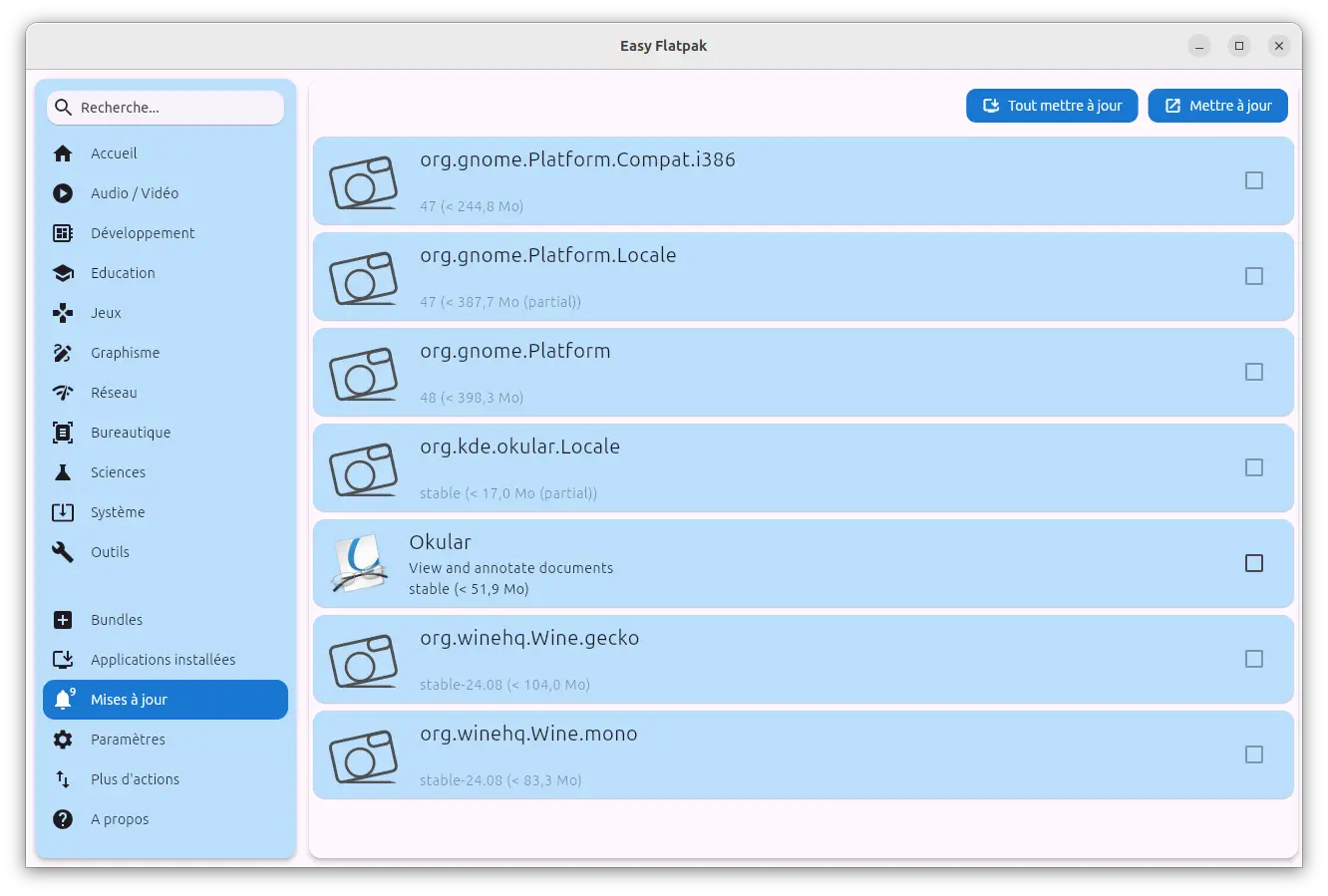 Section des mises à jour avec liste des applications à mettre à jour dans Easy Flatpak