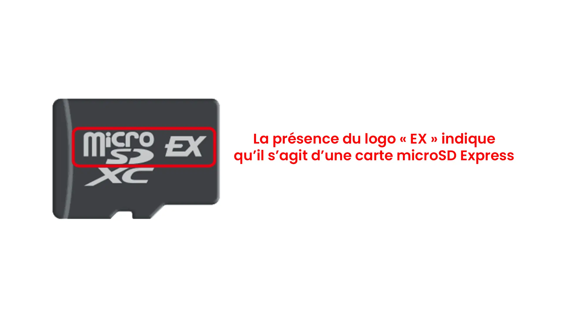 Illustration montrant le logo "EX" sur une carte microSD Express compatible avec la Nintendo Switch 2