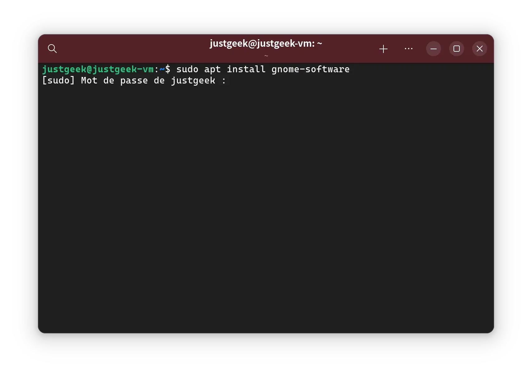 Commande pour installer GNOME Software depuis le terminal