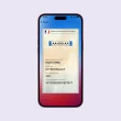 Affichage d'une carte grise numérique dans l'application France Identité sur un smartphone