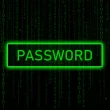 Fuite massive de mots de passe en 2025 – mot « PASSWORD » sur fond de code binaire vert