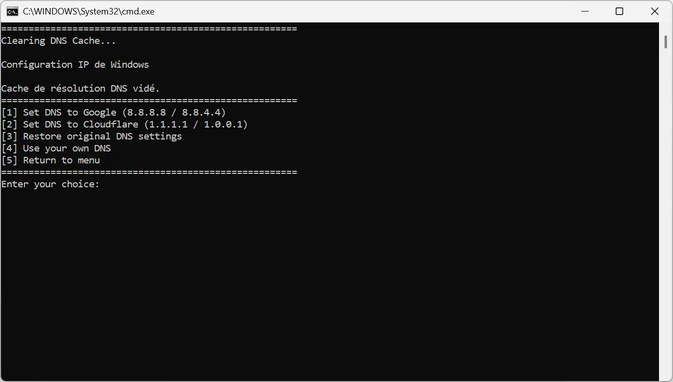 Options DNS proposées par le Windows Maintenance Tool après vidage du cache DNS